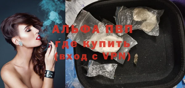 сатива Пересвет