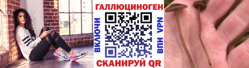 Галлюциногенные грибы Magic Shrooms  мега ТОР  Нестеровская 
